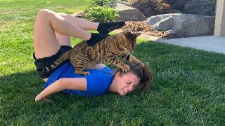ABSOLUTE CHAOS 😆 | Nonstop Fails That Somehow Keep Getting Funnier and More Ridiculous