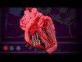 System_Test_01 Cardiovascular Cycle