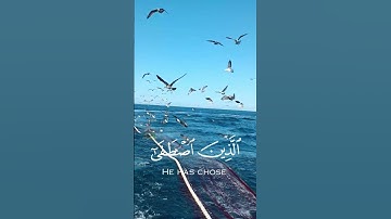 #القران_الكريم #راحة_نفسية #ايات_قرانيه #تلاوة_خاشعة #المصحف #تجويد