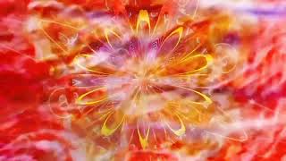 Tool  Reflection W S Visualizer