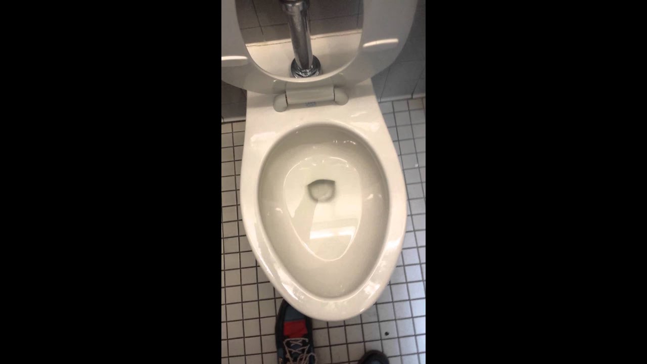 DualFlush Crane Plumbing Wall Hung Toilet YouTube