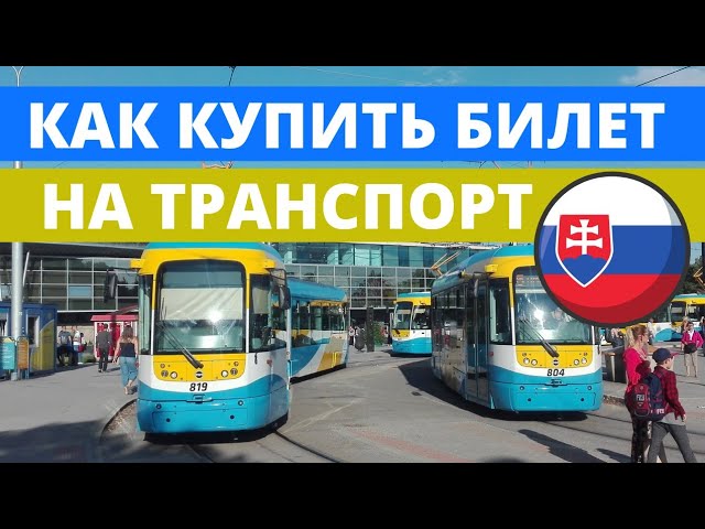 стоимость месячного билета на автобус стоимость месячного билета на автобус