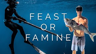 Spearfishing | Feast or Famine - Final Days Fishing the Tuamotus