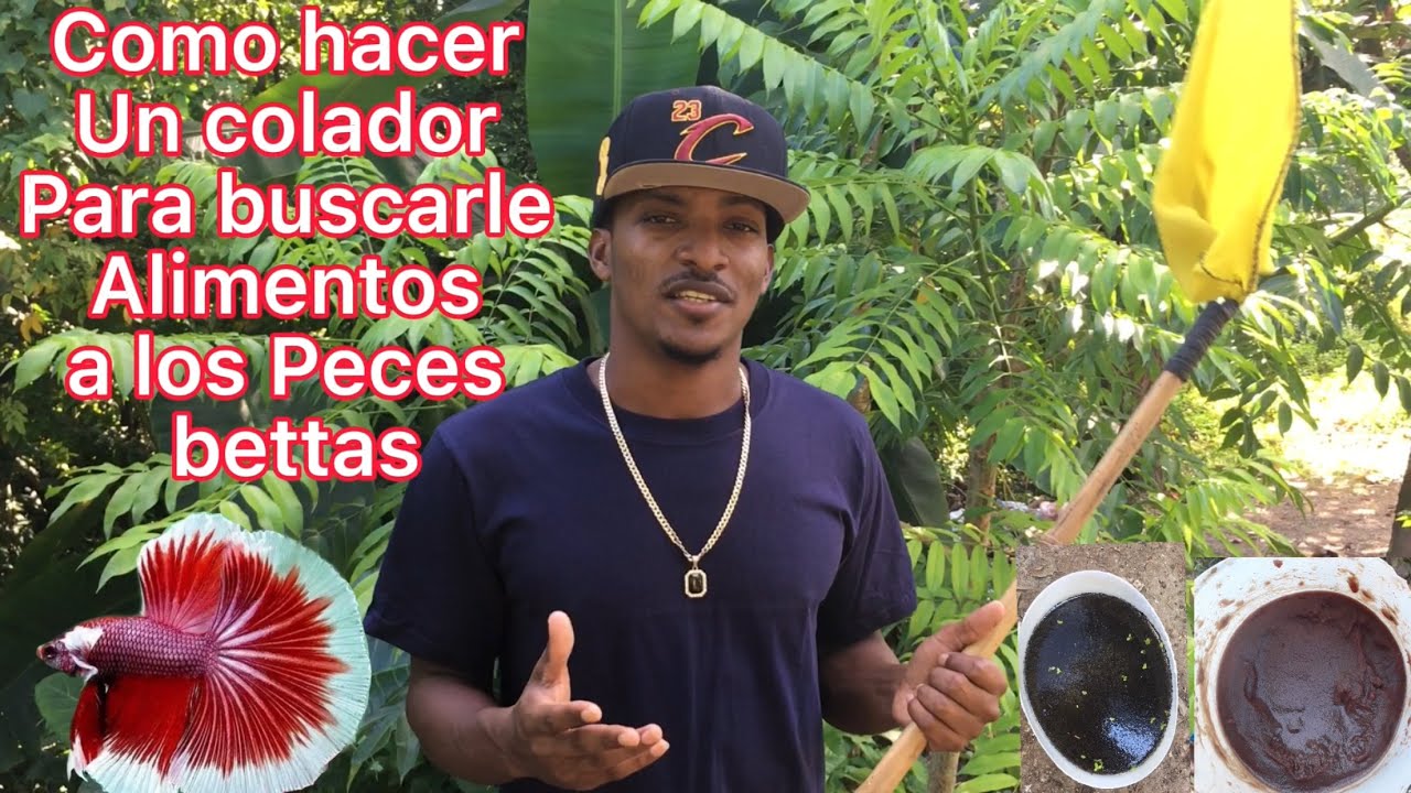 Como Hacer Un Colador YouTube como-hacer-un-colador-youtube