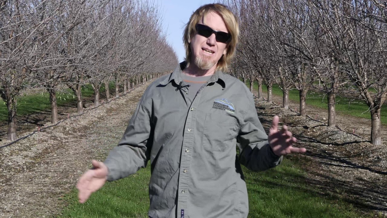 On Farm Water Use Efficiency:  Irrigation Management Practices That Save Water and Save Energy