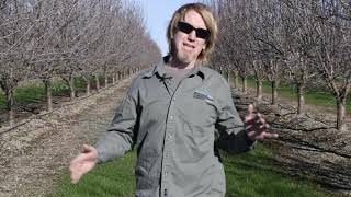 On Farm Water Use Efficiency:  Irrigation Management Practices That Save Water and Save Energy