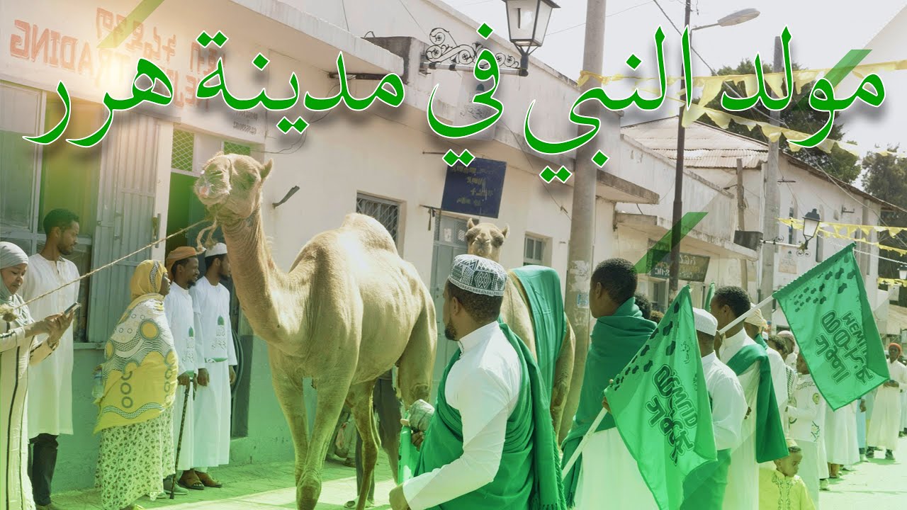 Mawlid Celebration in Harar - مولد النبي في مدينة هرر -  መውሊድ በሀረር , ኢትዮጵያ