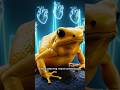 This Tiny Frog Can Kill 10 Humans… With One Touch 😱🐸”