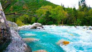 Blue Mountain River Flowing. Nature Sounds. Flowing Water, River Sounds to Sleep, Relax, Study.