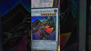 BlackWing Armor Master Ultra Rare -Desde mi deck Edison #yugiohcommunity #anime #tcg #konami #yugioh
