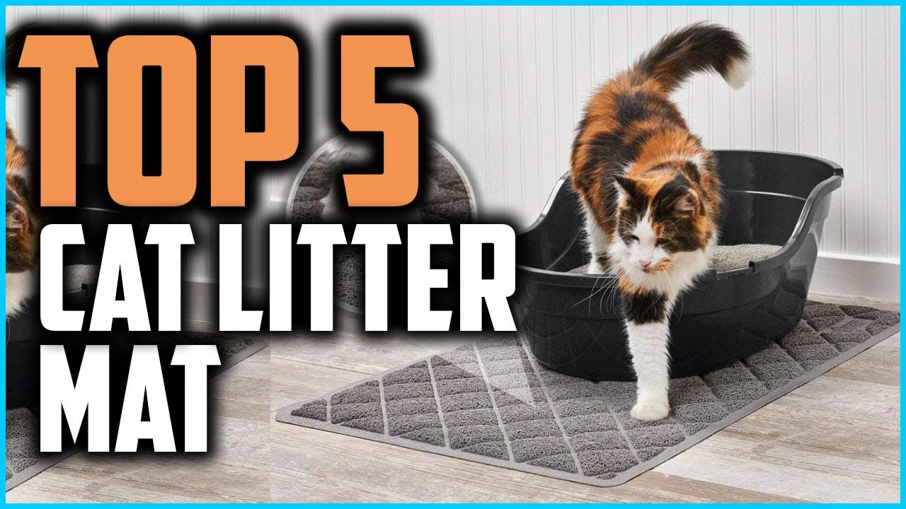 ✓ 5 Best Cat Litter Mat of 2023 