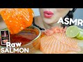 FRESH Raw Salmon With Bloves Seafood Sauce NO Talking Relaxing Eating Sounds N E Let S Eat 