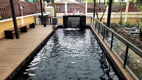 Pete ท่าดินแดง - Project ปิด Job มาล้างตู้ 100% เติมน้ำ + ปรับชุดงานลมบ่อปลาคาร์พในแบบ NC. Services