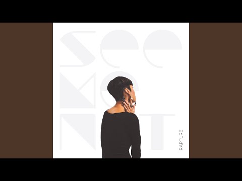 Rapture (Gerd Janson Remix Instrumental)