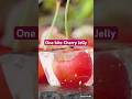 The subtle flavors of cherry and Japanese cider combine in this surprising one-bite #jelly dessert.