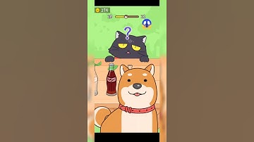 Hide and Seek Cat Escape! Level 20