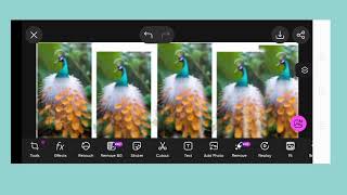 Beautiful peacock 🦚 picture editing screenshot 5