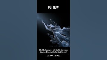 Thumbnail of Shakedown - At Night (Anyma x Layton Giordani Extended Remix)
