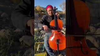 Camping with cello