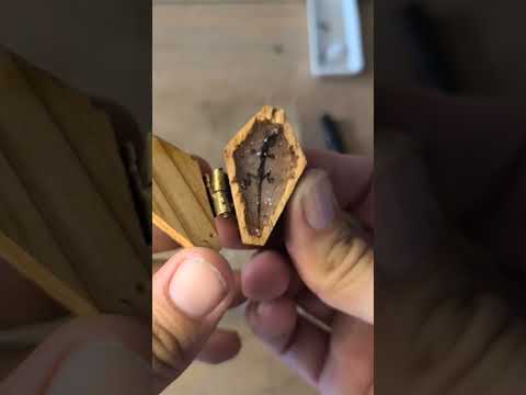 Lizard Coffin |