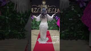 26 Април 2024 Г.