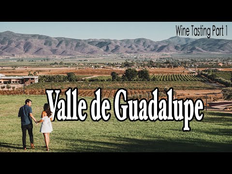 Video: Entdecken Sie Den Wein Aus Dem Guadalupe Valley Im Napa Valley In Mexiko