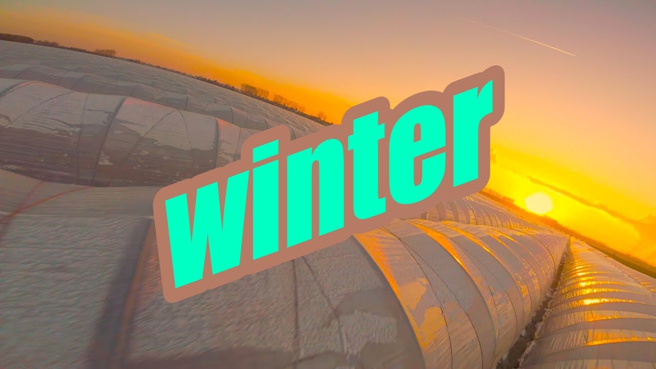 lumenier qav-r | fpv drone freestyle | winter