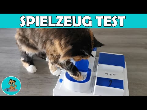 Video: Dies Sind Die Besten Katzenspielzeuge, Um Die Jagd Nach Beute Zu Simulieren