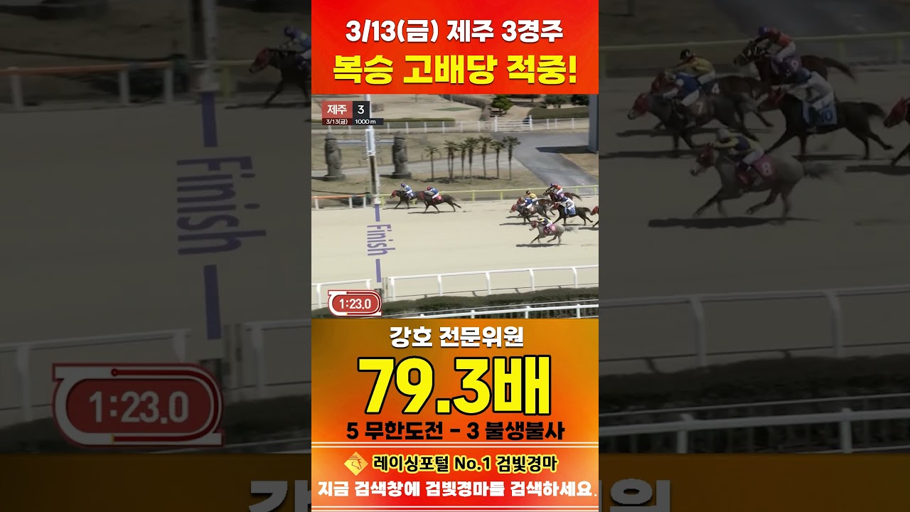 [제주 경마] 3월 13일 금요 3경주 강호 전문위원 복승 고배당 적중 #경마 #horse #한국마사회 #automobile #하이라이트 #equestrian #게임 #비트코인