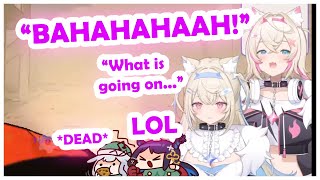 Mococo Bursts Out Laughing After Picking Up Biboo