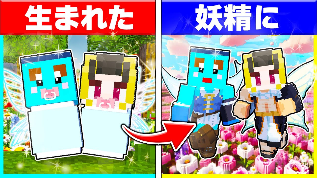 妖精に生まれた子供たちが生まれてから死ぬまで...【まいくら / マインクラフト】