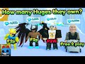 These players are completely free 2 play in pet sim 99