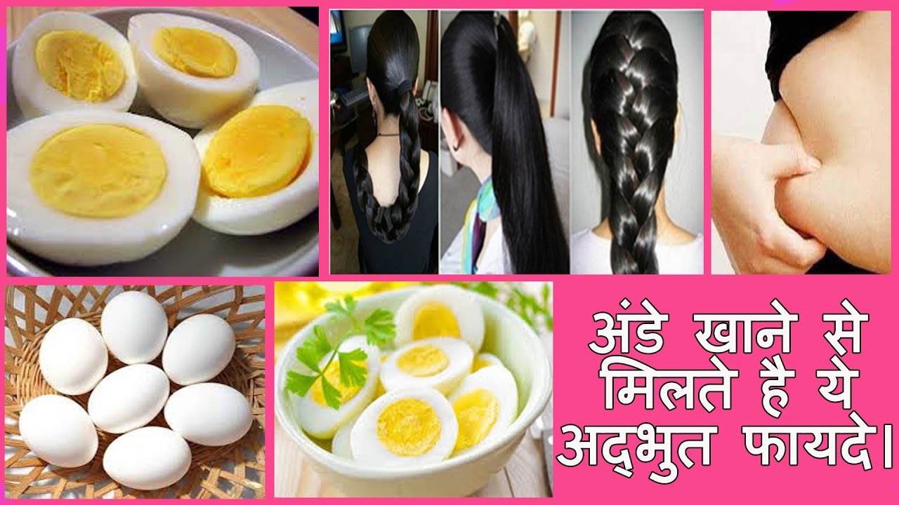 अंडे खाने से मिलते है ये अद्भुत फायदे। अंडा खाने के फायदे। Egg Benefits