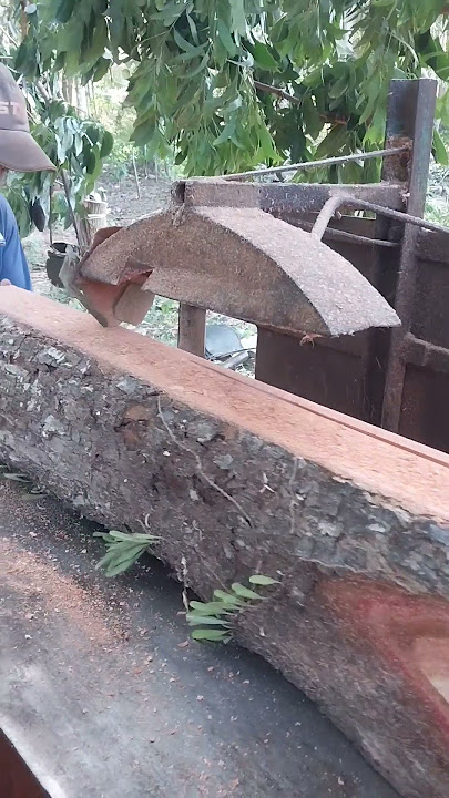 Rajang papan ukuran 2 cm C