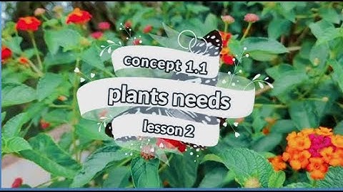 concept 1.1  lesson 2 - plants needs -  science grade 5  / first term علوم خامسة ابتدائي الدرس الاول