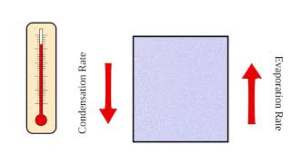 Lesson 4: Evaporation and Condensation