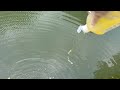 川に油撒いてみたwww 川に油撒いてみたwww