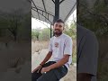 बरोबर न 😇💯 #aaplechgadar #gadar #viralreels #ytshorts