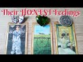 What are their honestfeelings for you today  pick a card  timeless love tarot