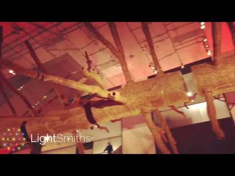 Video thumbnail for SAM Middle Fork Tree Lighting at Seattle Art Museum