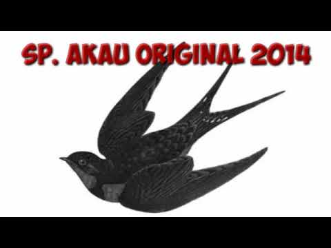 👉SP AKAU LINK DOWNLOAD MP3 ADA DI DESKRIPSI 👇