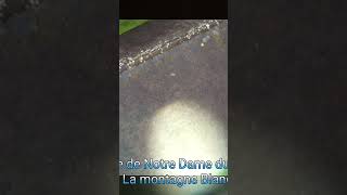 Guénin, Notre Dame Du Manégwen