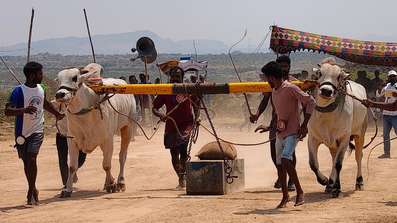2026-బోప్పేపల్లి.న్వూకేటగిరి.6వ జత.కోపూరి శ్రీనివాసరావు గారు మునుగోడు గ్రామం గుంటూరు జిల్లా