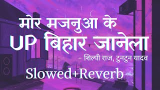 मोर मजनूआ के Up बिहार जानेला (Slowed Reverb) Majanuwa Ke UP Bihar Janela (Lofi) #shilpiraj #tuntun