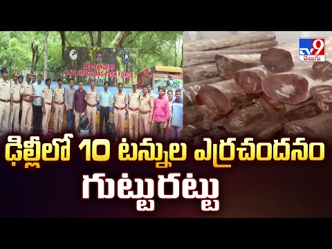 ఢిల్లీలో 10 టన్నుల ఎర్రచందనం గుట్టురట్టు - TV9 - TV9
