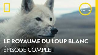 Information The Kingdom of the White Wolf | Season 1 Episode 1 | The Quest | Full Episode Guide