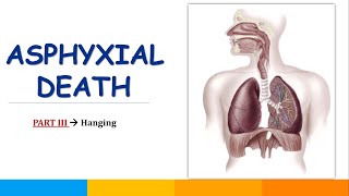 Part-3_Hanging & Its Types || Asphyxial Death || @SavvyForensics