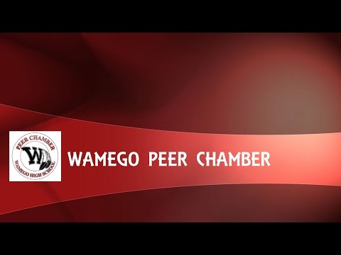 Wamego High School Peer Chamber FYI