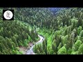 Flying over enchanted forest 4k  aerial drone film w celtic music for relaxing  stress relief