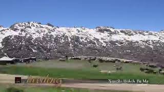 Koroya hevdeng xwezıla